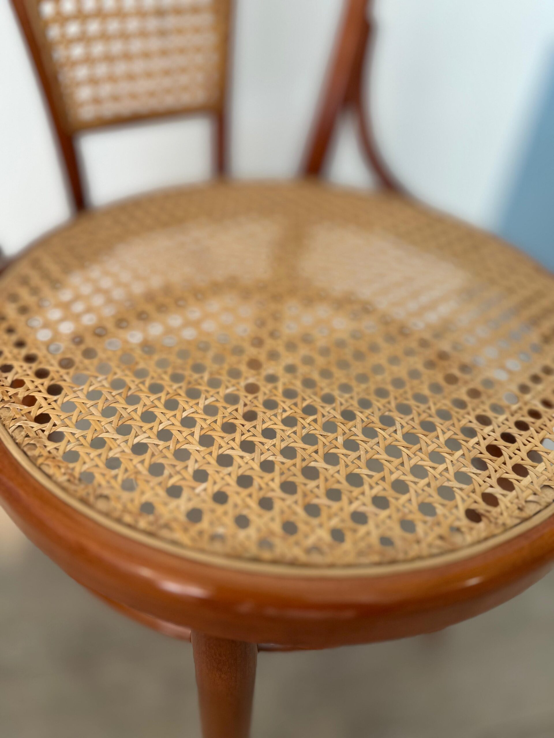 Paglia di Vienna - Lavoro 8